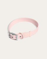 Wander! Waterproof Collar Blossom