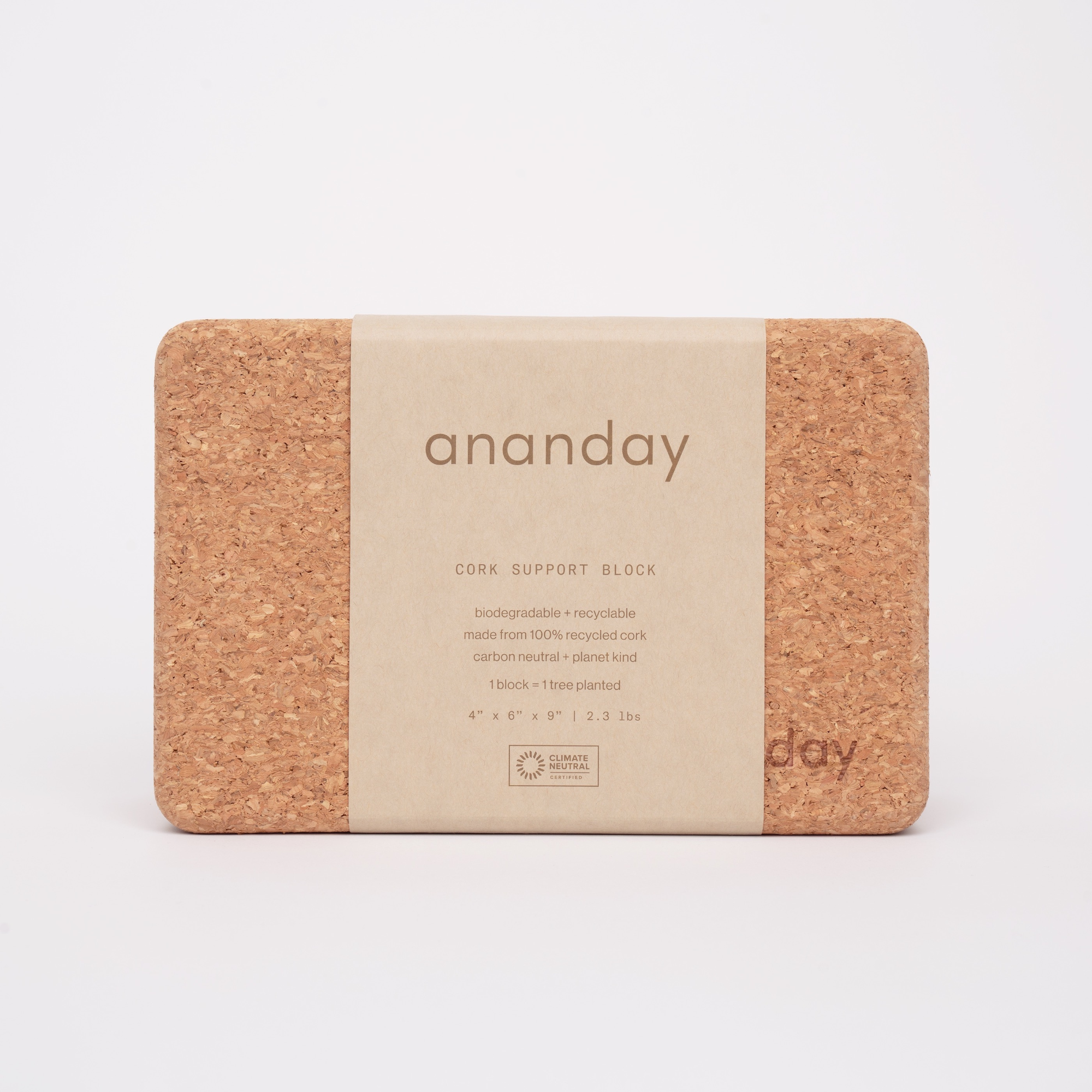 Yoga Block + Strap Set
