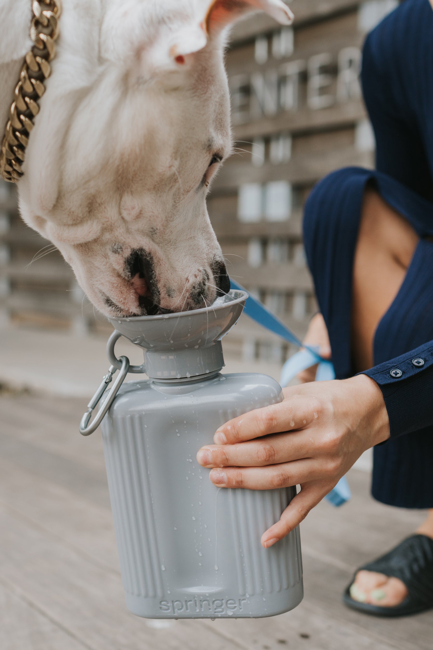 Growler Dog Travel Bottle