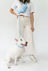 Sling Bag + Dog Leash