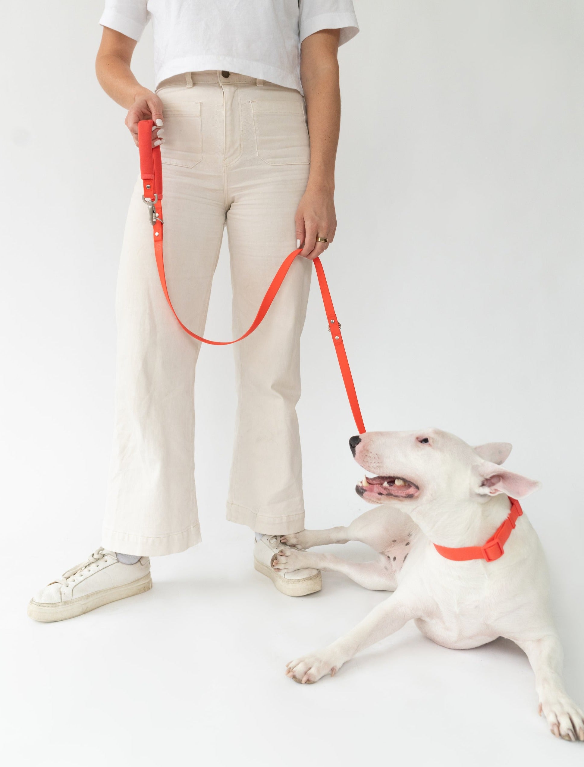 Small Dog Leash