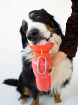 Classic Dog Travel Bottle