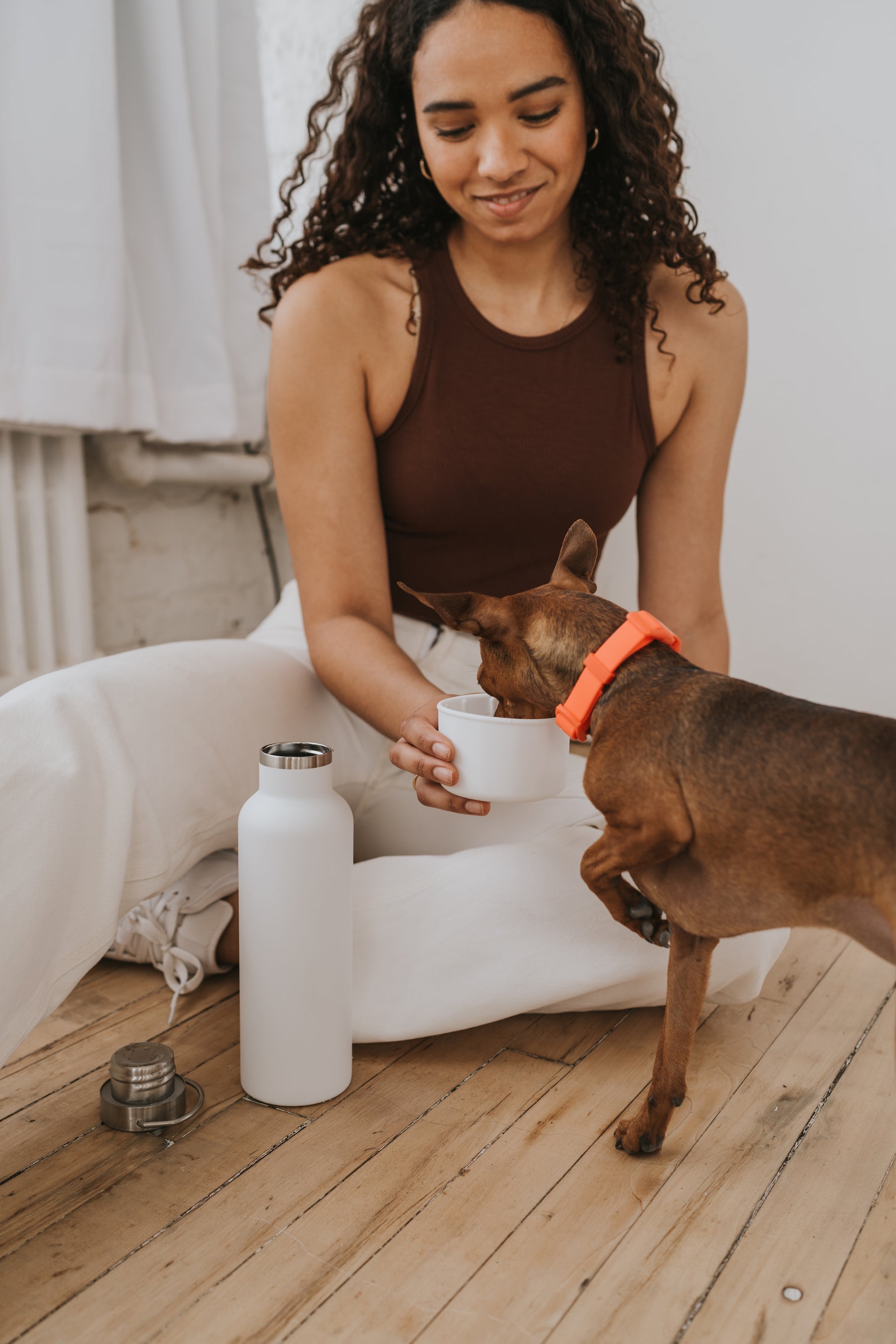 Dog & Me Insulated Water Bottle