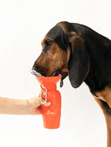 Classic Dog Travel Bottle