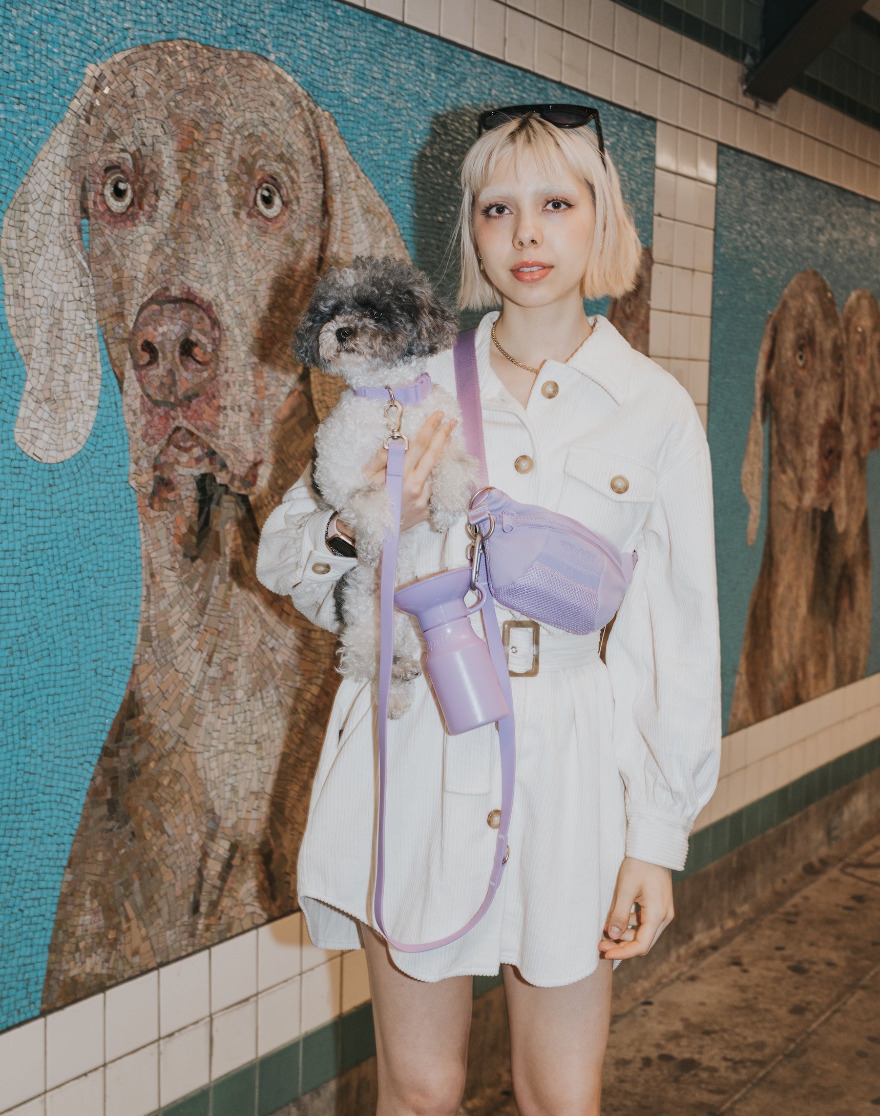 Sling Bag & Dog Bottle Set