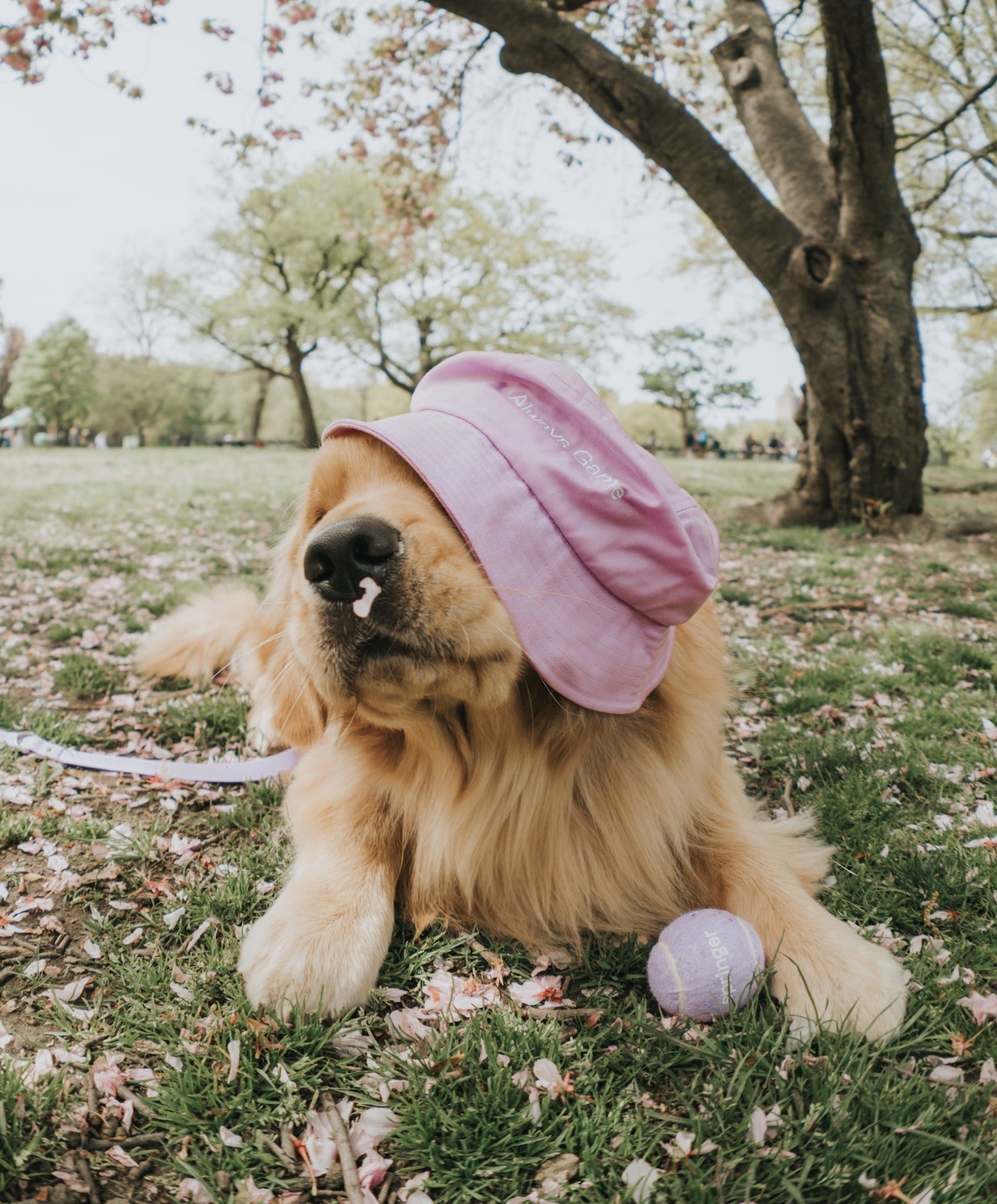 Always Game Bucket Hat