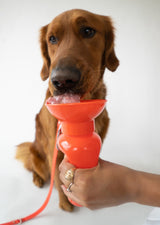 Classic Dog Travel Bottle