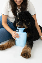 Growler Dog Travel Bottle