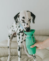 Classic Dog Travel Bottle