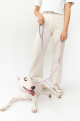 Small Dog Leash