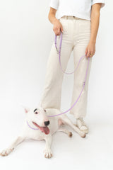 Dog Leash