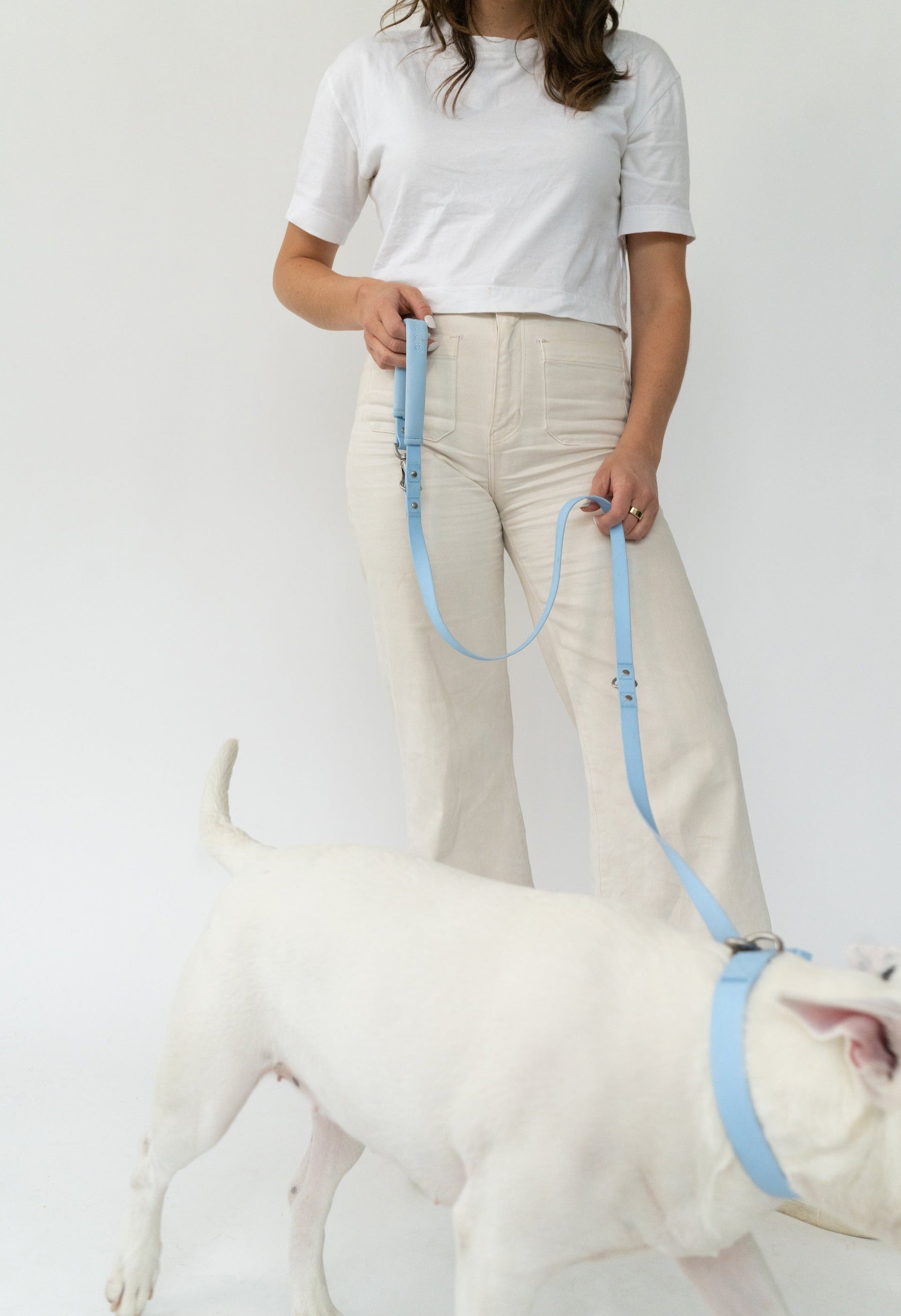 Small Dog Leash