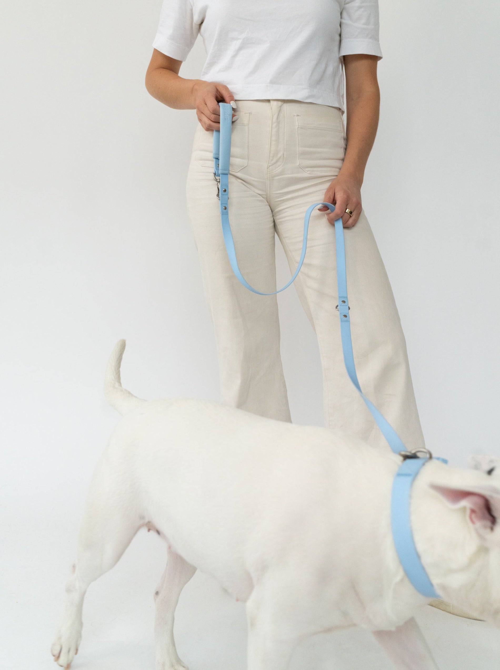 Dog Leash