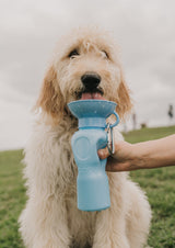 Classic Dog Travel Bottle