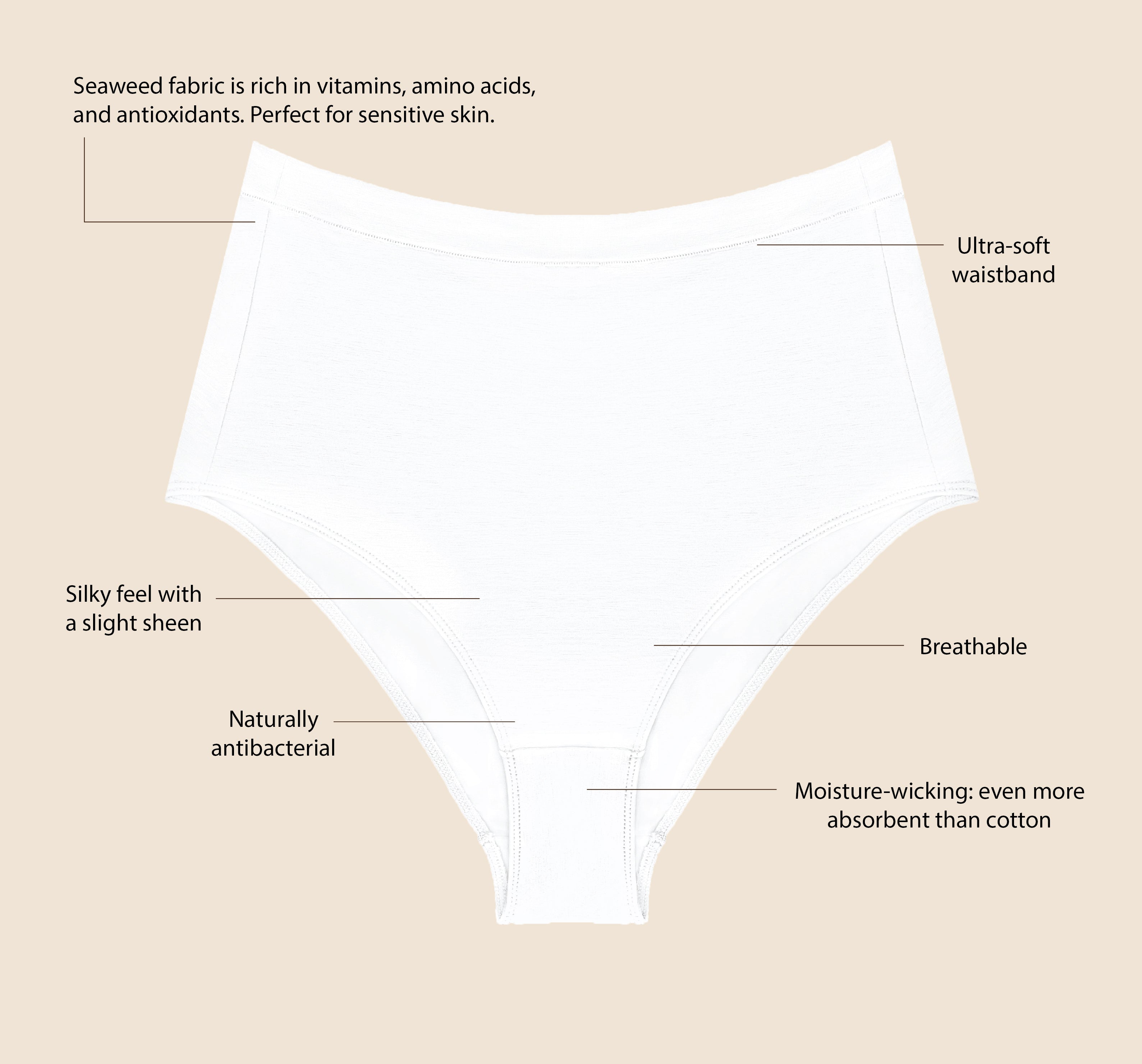 Full Coverage Brief in Coconut