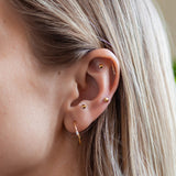 Gold Stud Ear Seed Kit