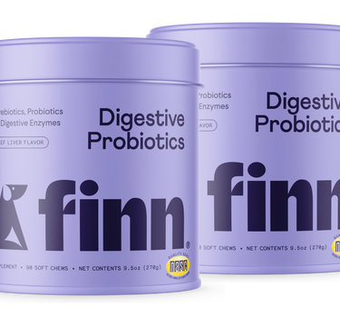 Digestive Probiotics 2-Pack