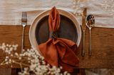 Terracotta Linen Napkin