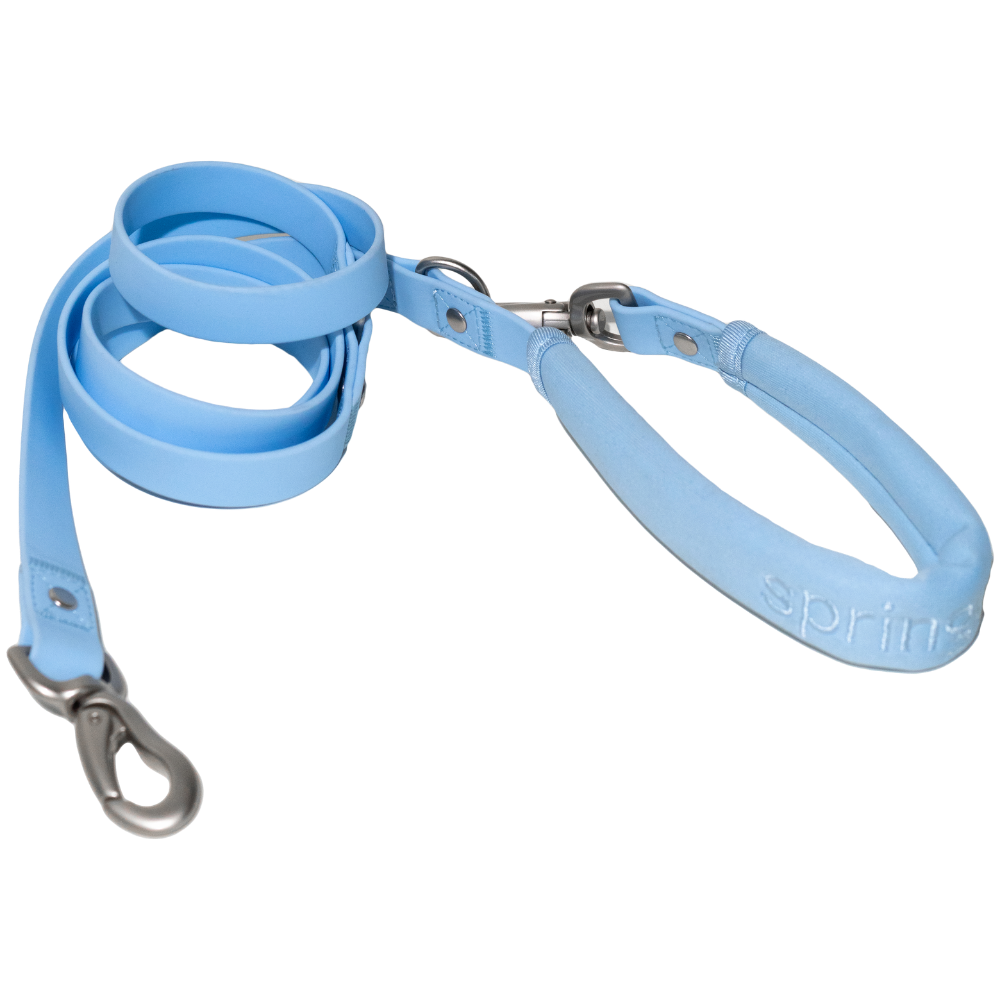 Small Dog Leash