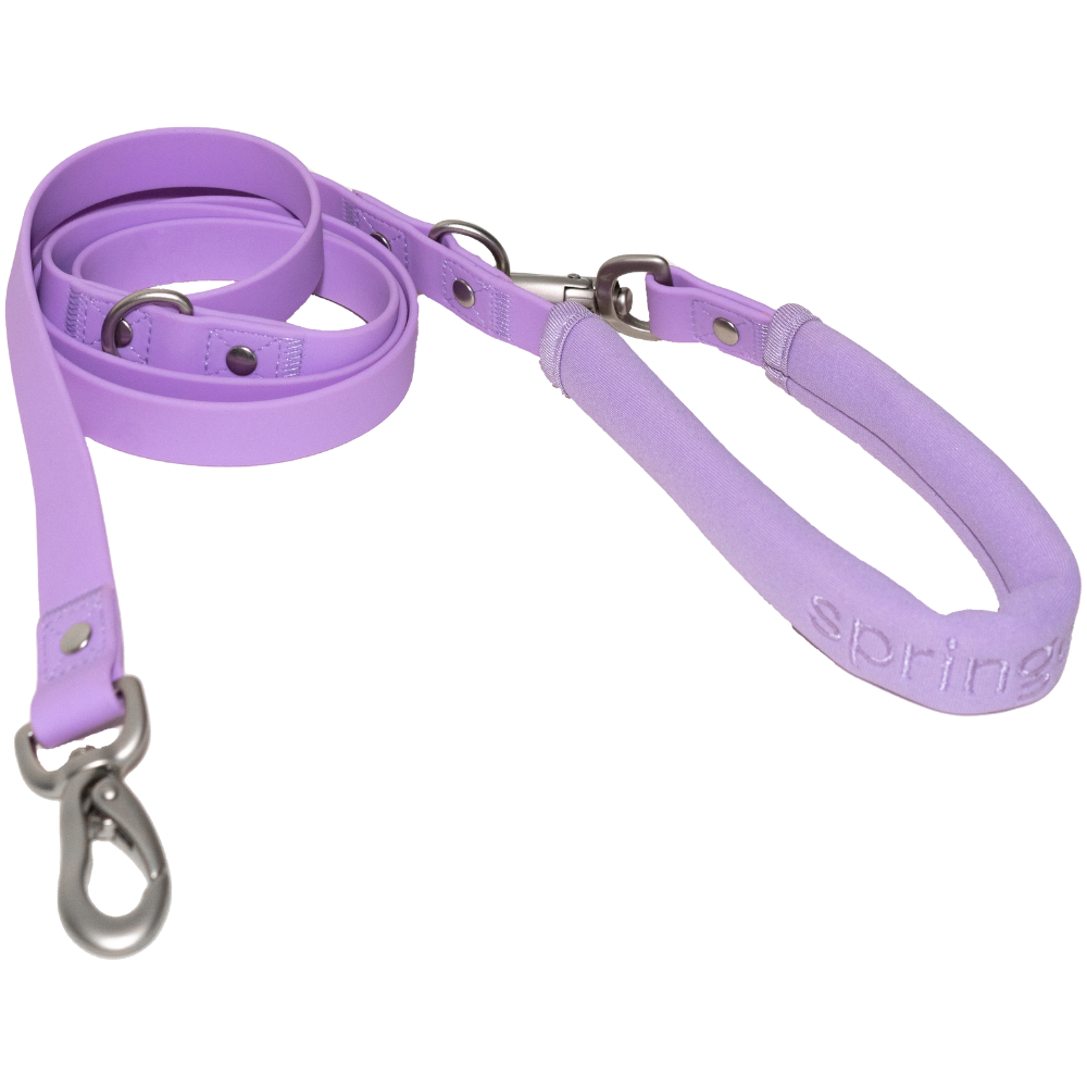 Dog Leash