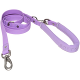 Dog Leash