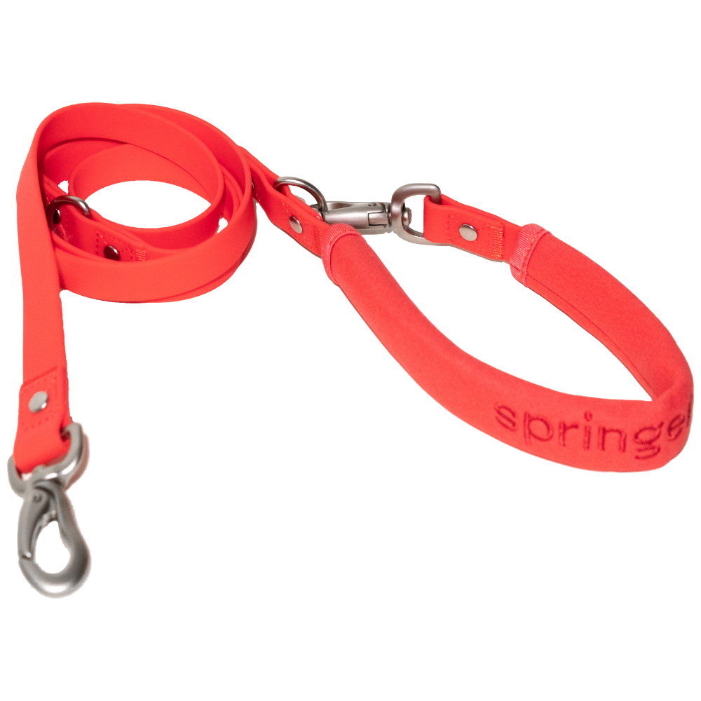 Dog Leash