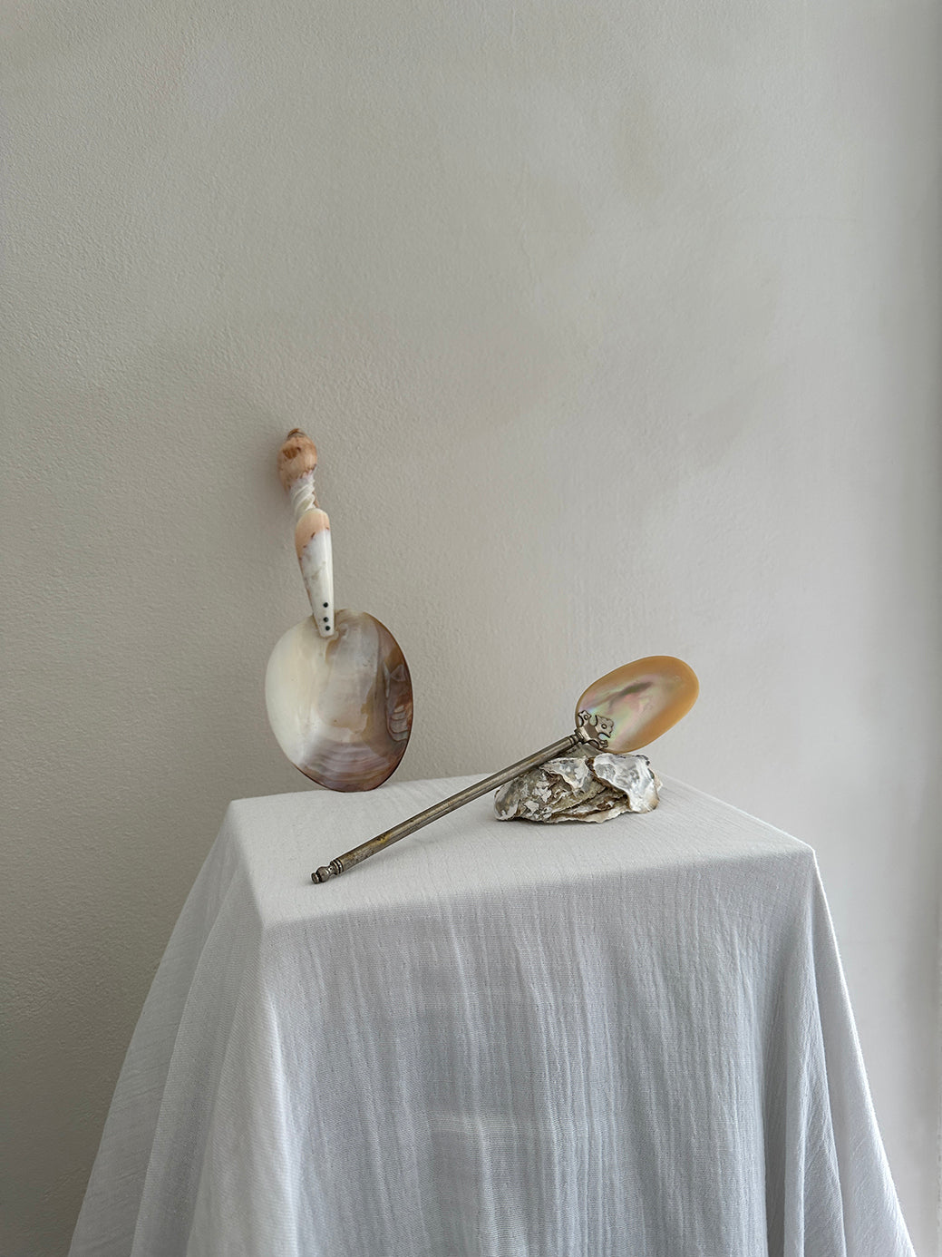 Vintage Sea Shell/Mother-of-Pearl Spoon II