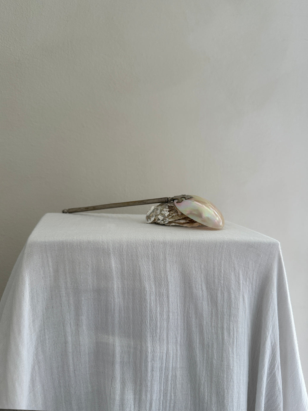 Vintage Sea Shell/Mother-of-Pearl Spoon II