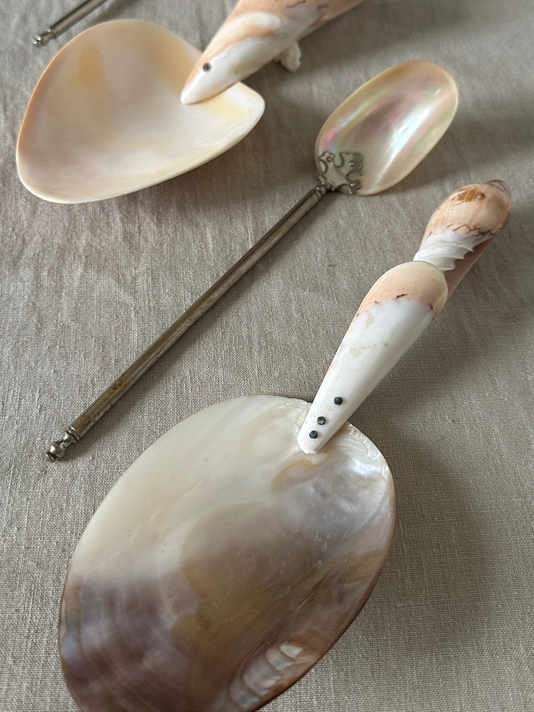 Vintage Sea Shell/Mother-of-Pearl Spoon II