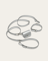Shine Metallic Leather Collar, Leash, & Poop Bag Pouch Kit