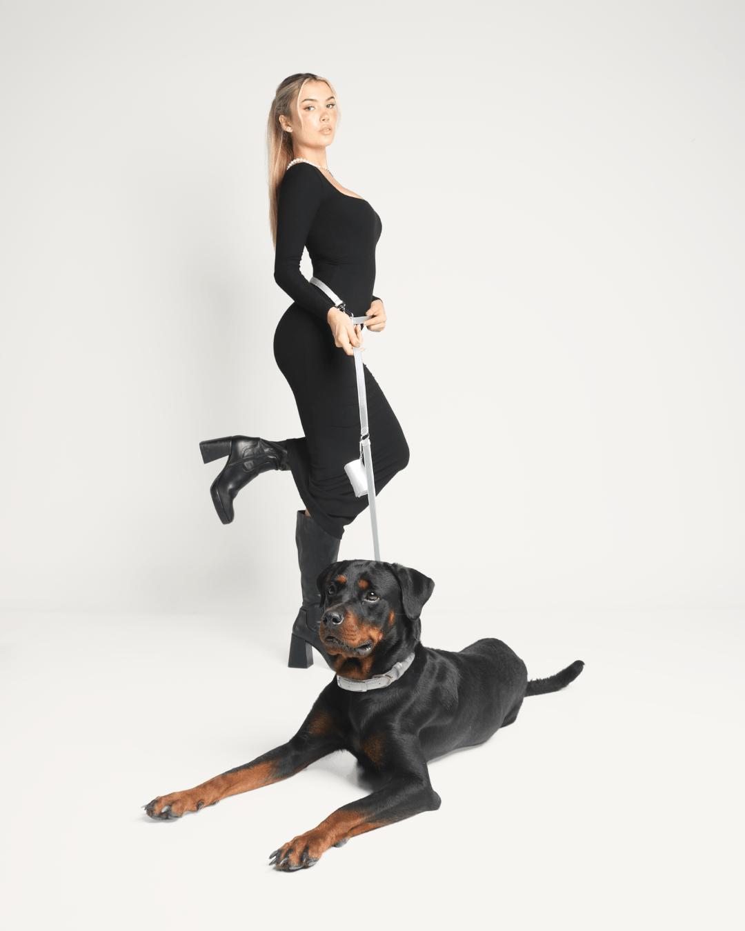 Shine Metallic Leather Collar, Leash, & Poop Bag Pouch Kit