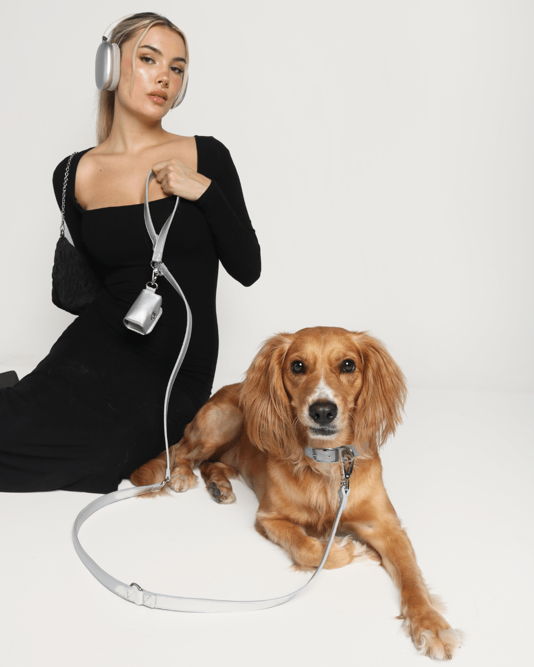 Shine Metallic Leather Collar, Leash, & Poop Bag Pouch Kit