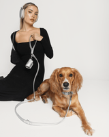 Shine Metallic Leather Collar, Leash, & Poop Bag Pouch Kit